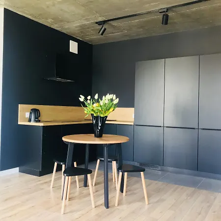 Luxury Kosciuszki Near Wawel And River Krakow
